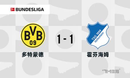德甲：多特蒙德1-1霍芬海姆，雷納破門，拉爾森絕平
