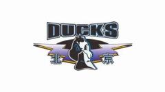 主場難擋三分雨 北京隊三分命中率僅14%