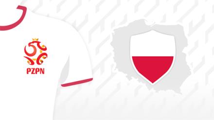 波蘭主帥：為國(guó)家隊(duì)利益辭去主教練職務(wù)