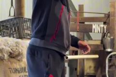 AC米蘭社媒發(fā)布視頻！大家在野生動物公園參觀，氣氛很融洽