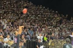 庫里是不會(huì)放棄每一次的扣籃機(jī)會(huì)的！始終有一顆扣將的心