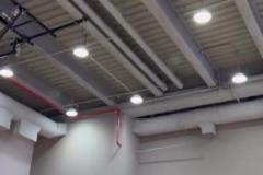 訓(xùn)練不能丟！切特在健身房揮汗如雨！最后這個林肯像太逗了！