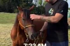 休息日！東契奇體驗(yàn)了農(nóng)場主生活一日游