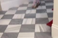 不敢想她有多幸福！勒布朗女兒朱莉在豪宅里和狗狗打球