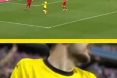 勇者無懼！這是真多特球迷！在拜仁球迷區(qū)一個(gè)人肆意慶祝！