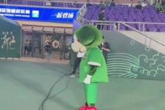 浙江隊(duì)的吉祥物都變得傷感了起來(lái)...