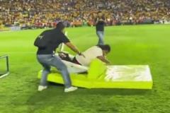 南美球場這中場節(jié)目，可把觀眾看樂了