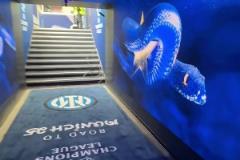 蛇精靈元素拉滿，跟著鏡頭一起云穿越梅阿查球員通道