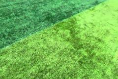 韓老師：今天腳頭太臭沒(méi)踢準(zhǔn)，你們說(shuō)我該送什么賠禮好呢