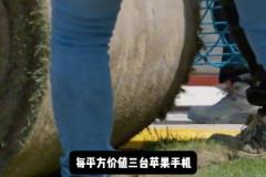 新諾坎普草皮每平方價值3臺蘋果手機，每年維護費用高達200萬