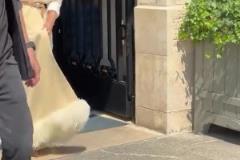 卡戴珊現(xiàn)身巴黎 低胸長(zhǎng)裙穿搭已經(jīng)大膽